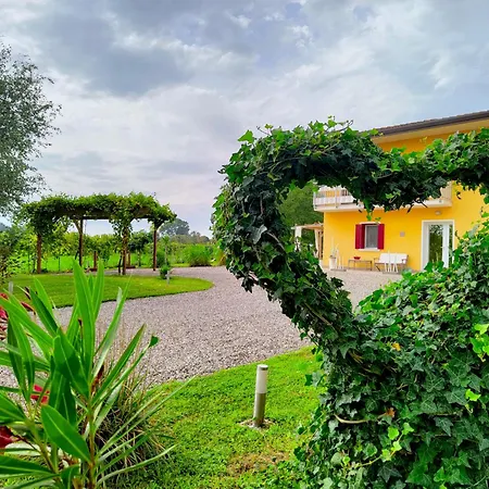 Апартаменты Yard 151 *