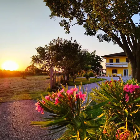 Yard 151 * Новента-ди-Пьяве