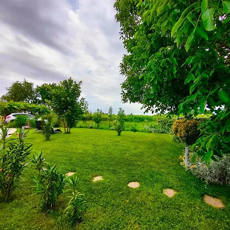 Apartment Yard 151