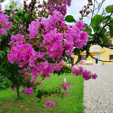 Apartman Yard 151 *