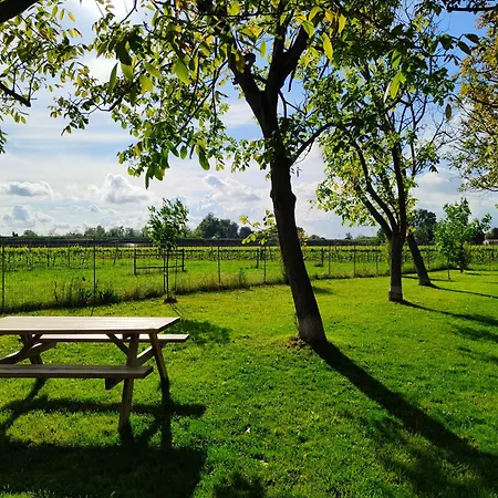 Apartman Yard 151 *