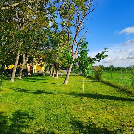Apartman Yard 151 *