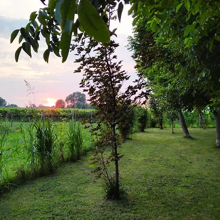 Apartment Yard 151 Noventa di Piave