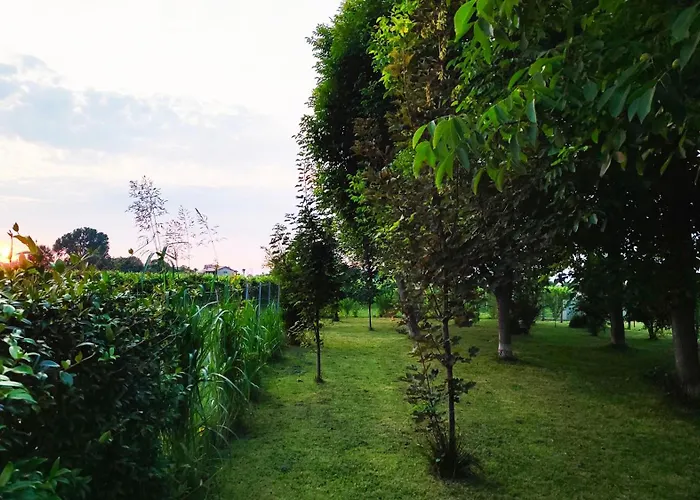 Appartement Yard 151